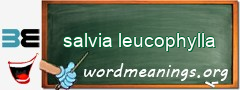 WordMeaning blackboard for salvia leucophylla
